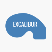 Pool Shape - Excalibur