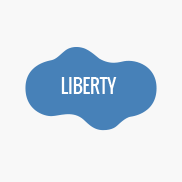 Pool Shape - Liberty