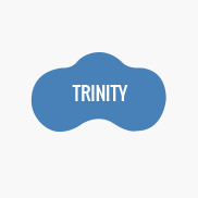Pool Shape - Trinity
