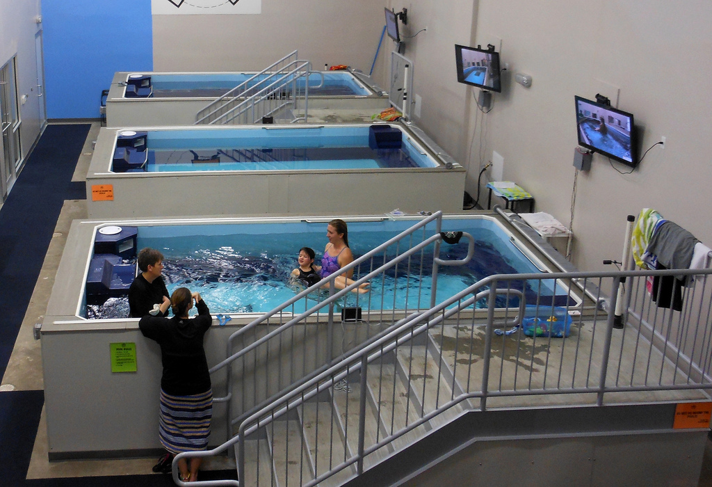 Elite Pools - Endless Pools - Paradigm Pools & Spas - Gallery