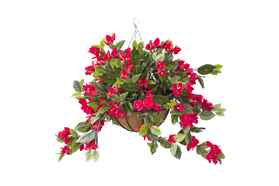 Hanging Basket Red Bougainvilleas