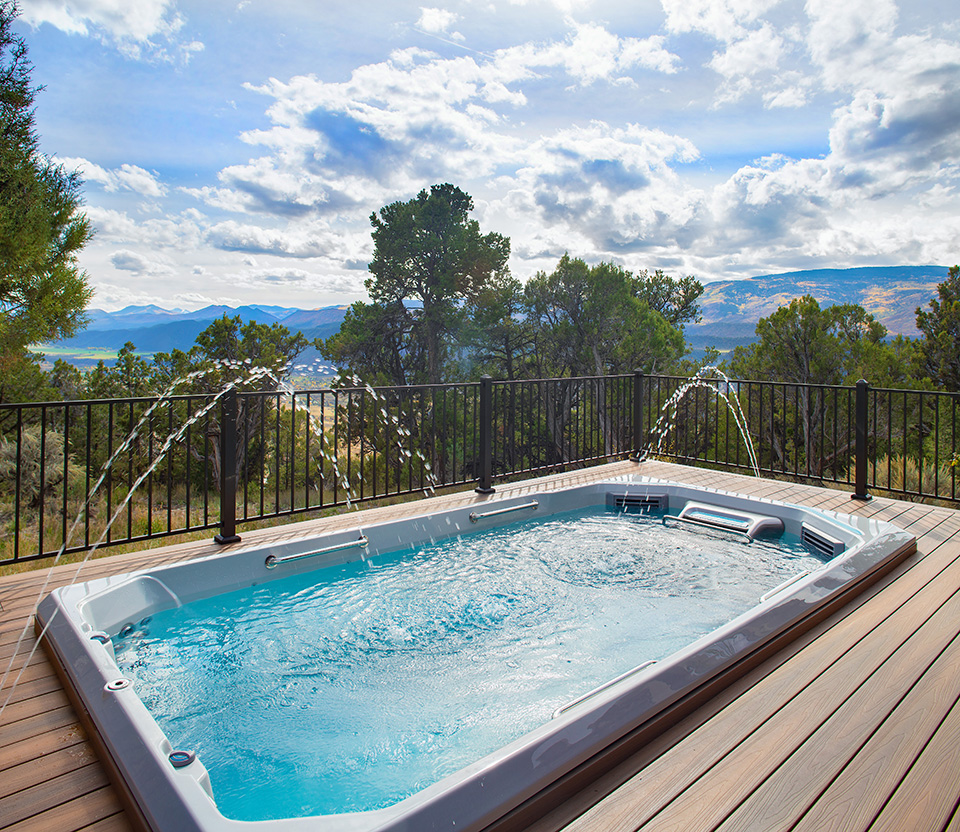 E550 Fitness System Swim Spa Paradigm Pools & Spas - Gallery