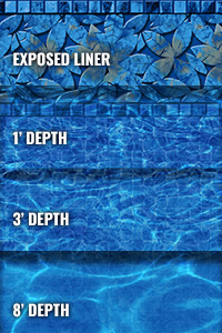 Reef