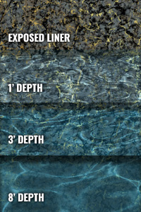 Deep Ocean